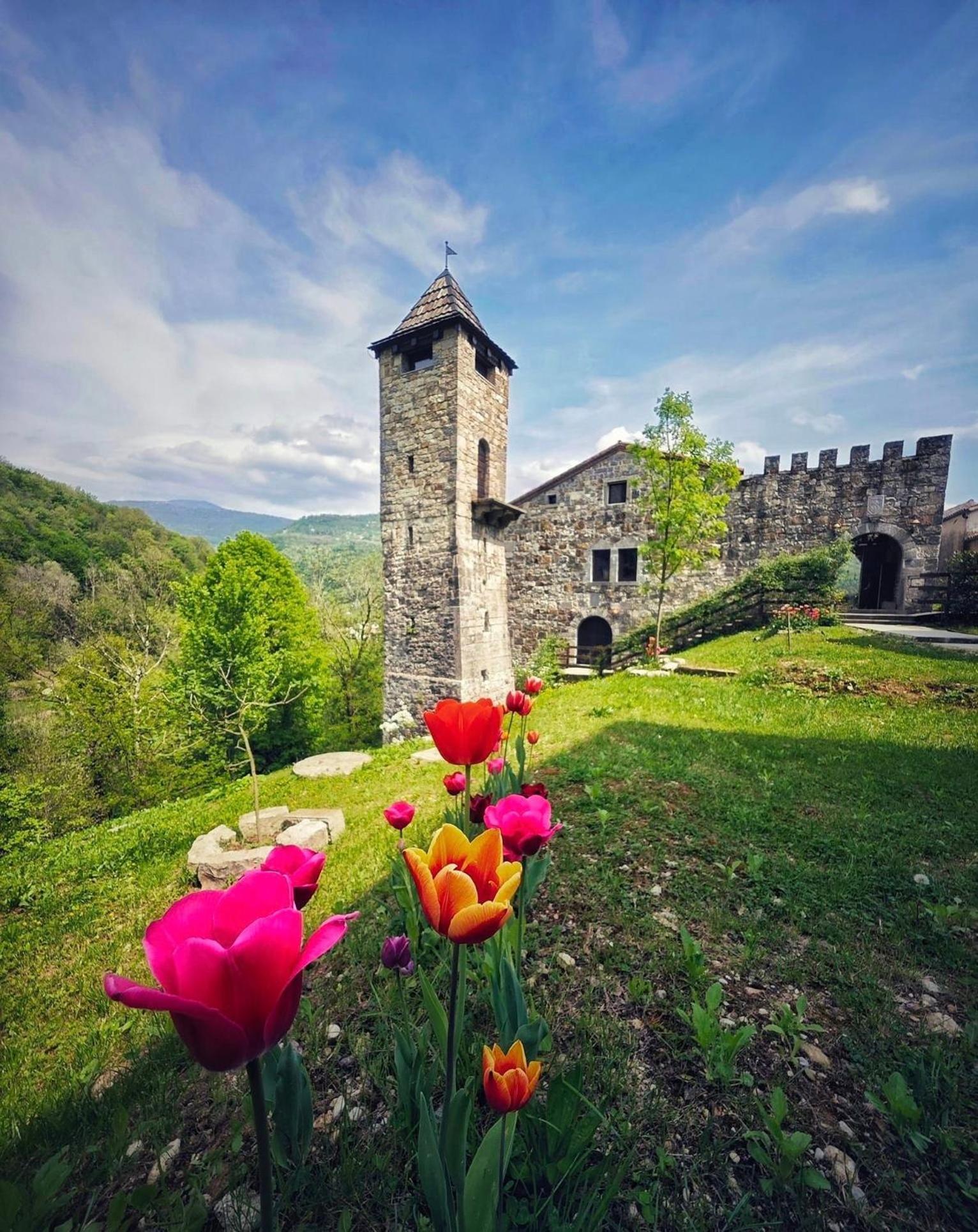 Incantevole Rifugio Nel Castello Di Ahrensperg